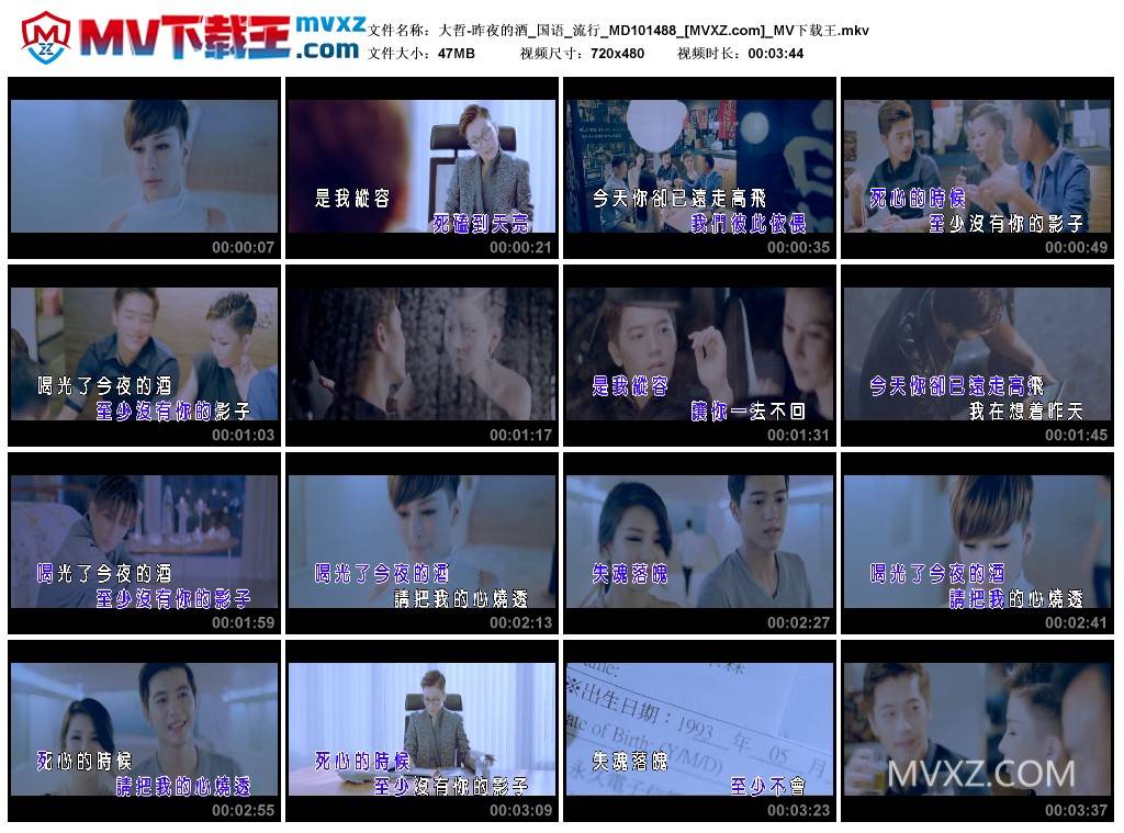 大哲-昨夜的酒_国语_流行_MD101488